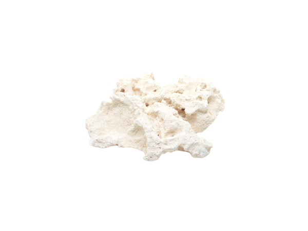 Cutted 15-25 cm prix au kg Marcorock