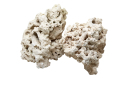 Reef saver 20-30 cm prix au kg Marcorock 