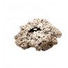 Ovaloîdes +25 cm ensemencées pierres vivantes au Kg 