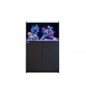 REEFER MAX 250 G2+ 