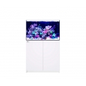 REEFER MAX XL 300 G2+