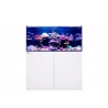 REEFER MAX 350 G2+