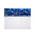 REEFER MAX XXL 750 G2+ 