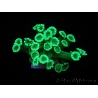 WYSIWYG Alveopora Green 17A2