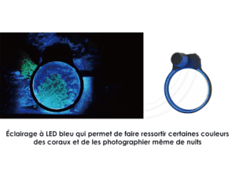 Maxspect Pastel Reef Magnifier L