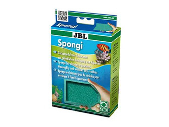 Spugna per vetri