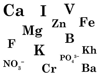 Basiselementen