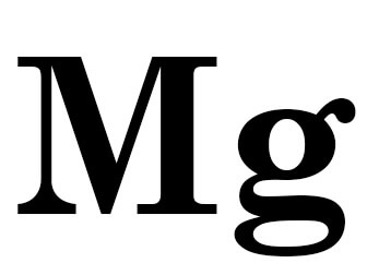 Magnesio