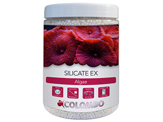 Anti-silicates