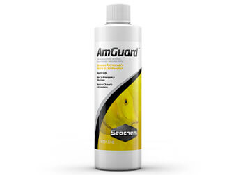 Anti-ammoniaca