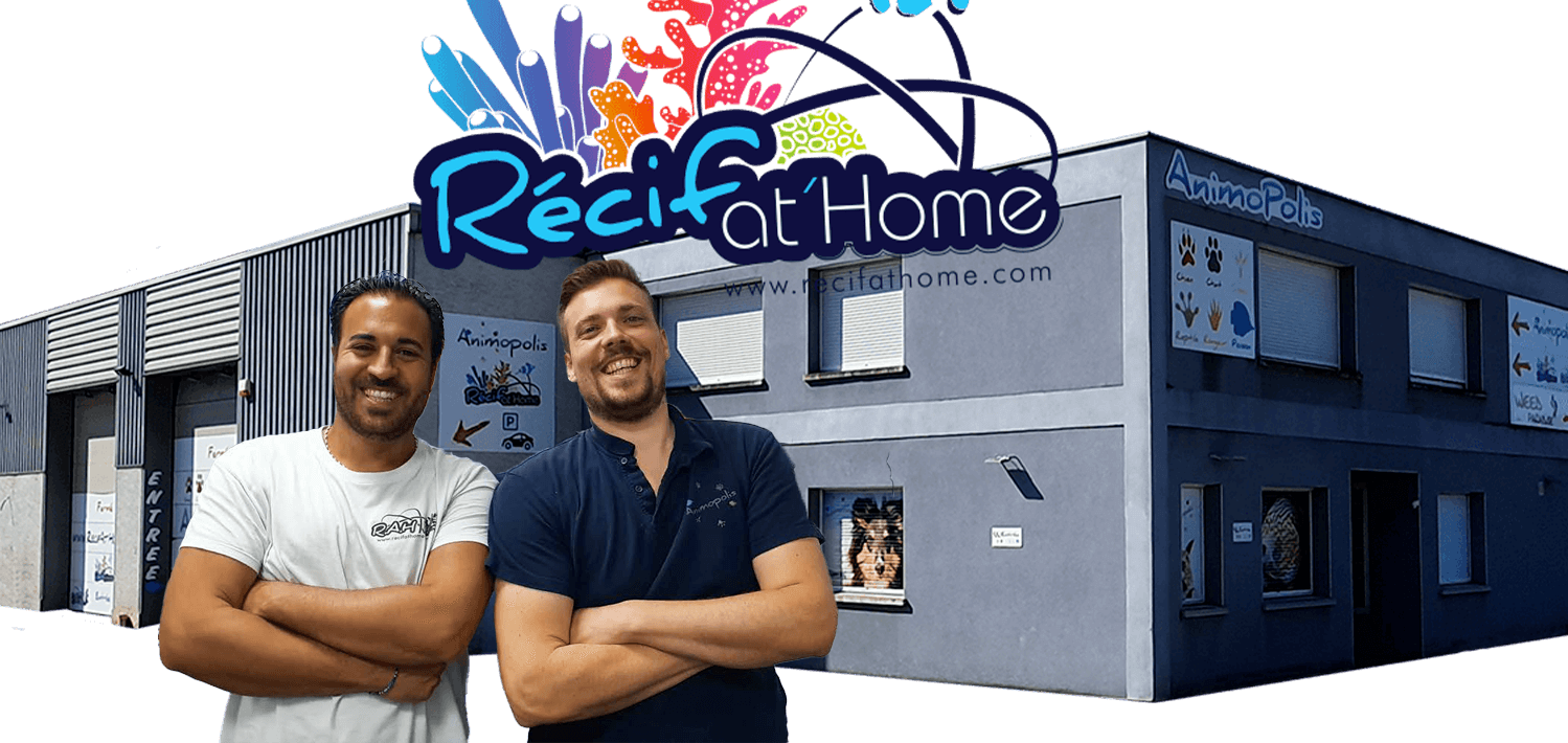 Équipe RecifAtHome