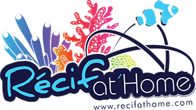 Logo RecifAtHome