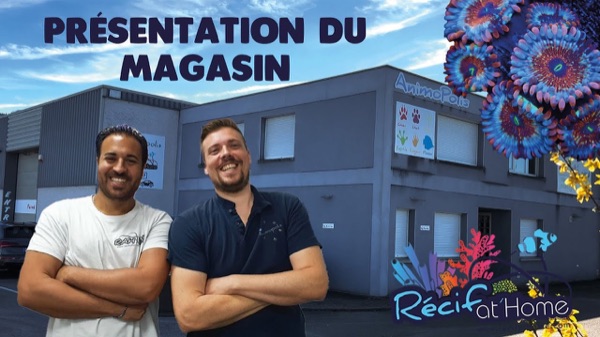 Contenu média et avis