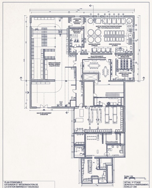 Réalisations / Projets