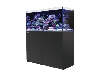 Aquarium Récifal eau de mer - VPC RecifAtHome